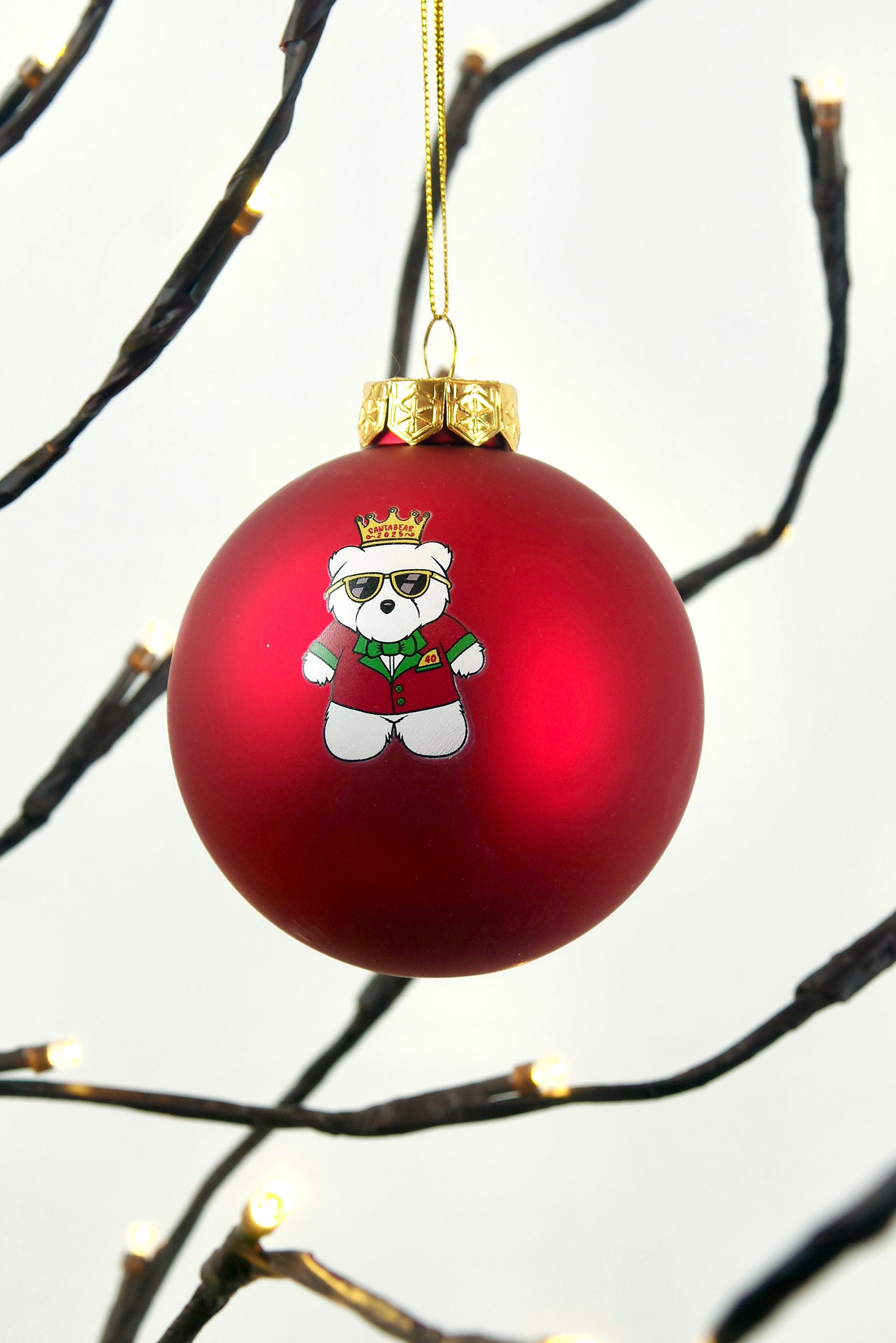 Red Christmas ball ornament with a Santabear ornament on a branch.